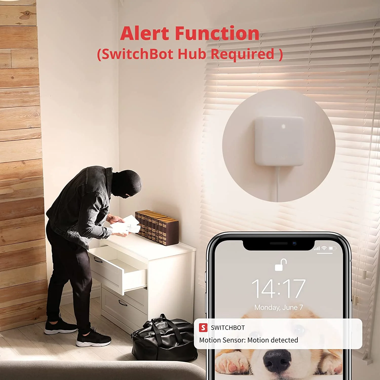 SwitchBot Motion Sensor - Image 5